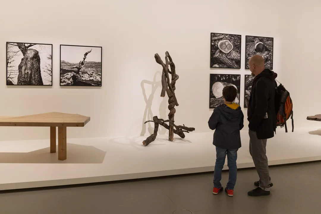 Inventing a New World with Charlotte Perriand
