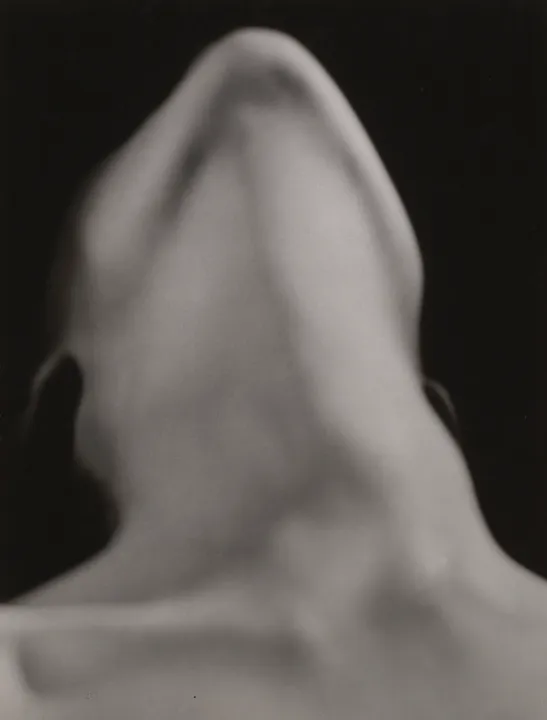 MoMA Collection Comes to Paris in Major Exhibition Presented by Fondation Louis Vuitton